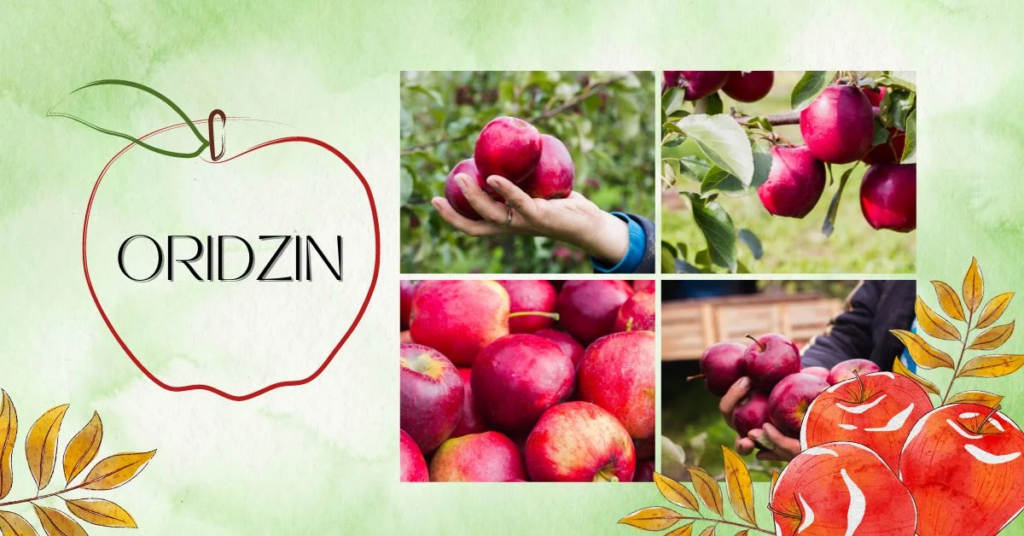 image-38-1024x536 Unlocking the Secrets of Oridzin: A New Era in Wellness